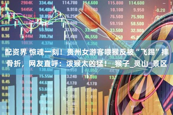 配资界 惊魂一刻！贵州女游客喂猴反被“飞踢”摔骨折，网友直呼：泼猴太凶猛！_猴子_灵山_景区