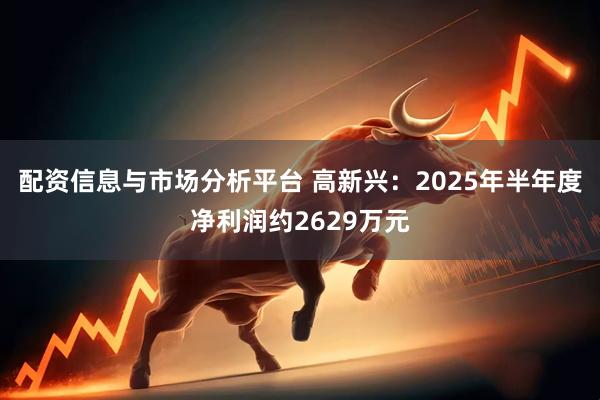 配资信息与市场分析平台 高新兴：2025年半年度净利润约2629万元